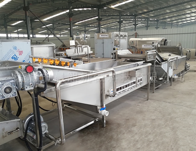 芋頭脫皮清洗機性能參數(shù)