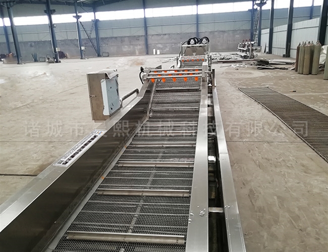 新疆紅棗清洗機專用設(shè)備