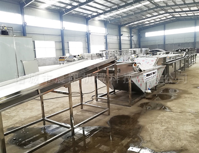 桑芽菜漂燙機 桑芽菜漂燙設備 芽菜清洗殺青機