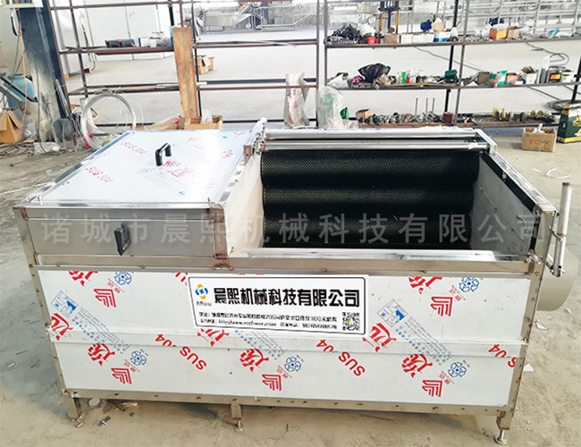 連續(xù)式蓮藕清洗機廠家